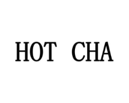 HOT CHA商标原图 第10类医疗器械
