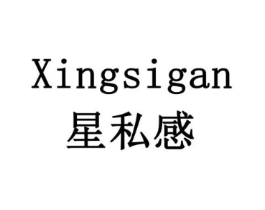 星私感商标原图 第10类医疗器械