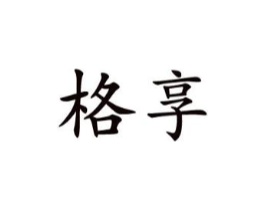 格享商标原图 第10类医疗器械