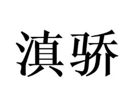 滇骄商标原图 第10类医疗器械