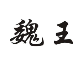 魏王商标原图 第10类医疗器械