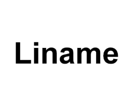 LINAME商标原图 第10类医疗器械