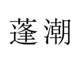蓬潮商标原图 第10类医疗器械
