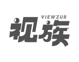 VIEWZUR 视族商标原图 第10类医疗器械