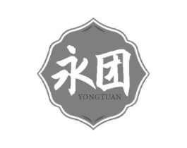 永团商标原图 第10类医疗器械