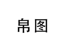 帛图商标原图 第10类医疗器械
