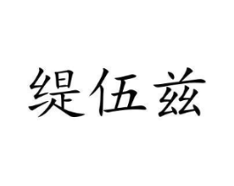 缇伍兹商标原图 第10类医疗器械