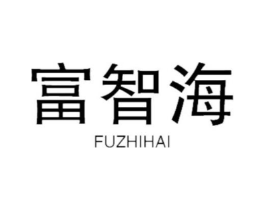富智海商标原图 第10类医疗器械
