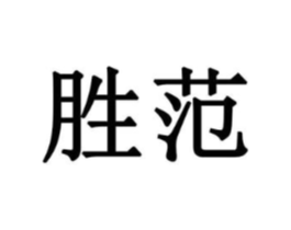 胜范商标原图 第10类医疗器械