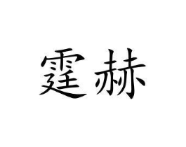 霆赫商标原图 第10类医疗器械