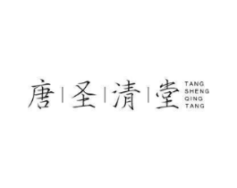唐圣清堂商标原图 第10类医疗器械