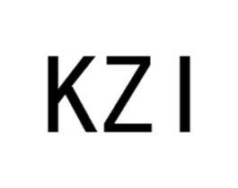 KZI商标原图 第10类医疗器械