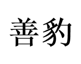 善豹商标原图 第10类医疗器械