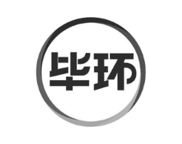 毕环商标原图 第10类医疗器械