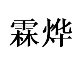 霖烨商标原图 第10类医疗器械