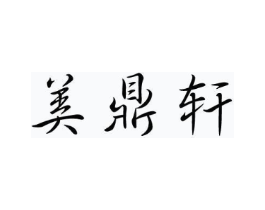 美鼎轩商标原图 第10类医疗器械