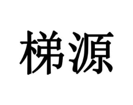 梯源商标原图 第10类医疗器械