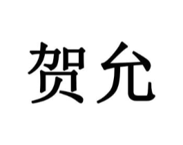 贺允商标原图 第10类医疗器械