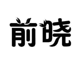前晓商标原图 第10类医疗器械