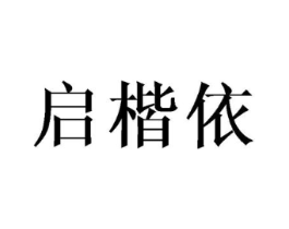 启楷依商标原图 第10类医疗器械