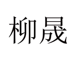 柳晟商标原图 第10类医疗器械