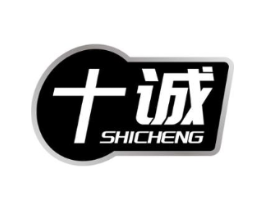 十诚商标原图 第10类医疗器械