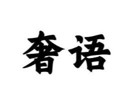 奢语商标原图 第10类医疗器械