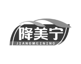 降美宁商标原图 第10类医疗器械