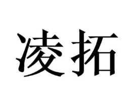 凌拓商标原图 第10类医疗器械