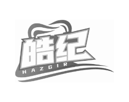皓纪 HAZGIR商标原图 第10类医疗器械