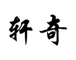 轩奇商标原图 第10类医疗器械