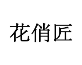 花俏匠商标原图 第10类医疗器械