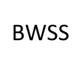 BWSS商标原图 第10类医疗器械