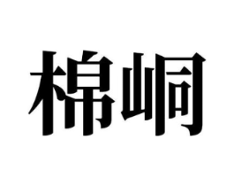 棉峒商标原图 第10类医疗器械