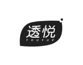 透悦商标原图 第10类医疗器械
