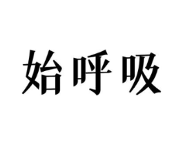 始呼吸商标原图 第10类医疗器械