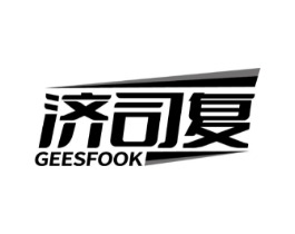 济司复 GEESFOOK商标原图 第10类医疗器械