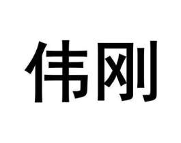 伟刚商标原图 第10类医疗器械