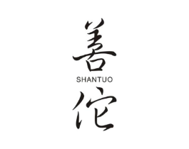 善佗商标原图 第10类医疗器械