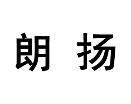 朗扬商标原图 第10类医疗器械