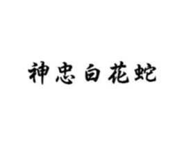 神忠白花蛇商标原图 第10类医疗器械