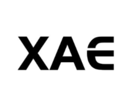 XAE商标原图 第10类医疗器械