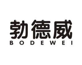 勃德威商标原图 第10类医疗器械