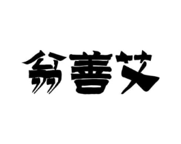 翁善艾商标原图 第10类医疗器械