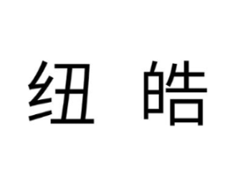 纽皓商标原图 第10类医疗器械
