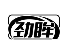 劲眸商标原图 第10类医疗器械