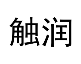 触润商标原图 第10类医疗器械