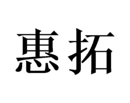 惠拓商标原图 第10类医疗器械