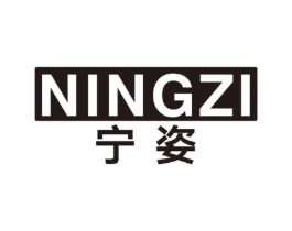 宁姿商标原图 第10类医疗器械