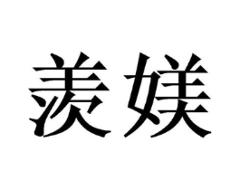 羡媄商标原图 第10类医疗器械